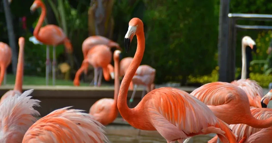 Top Experiences in San Diego for Couples, Families, and Independent Travelers