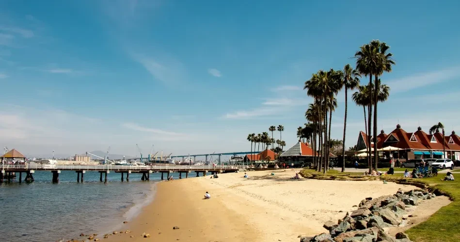 Top San Diego Beaches Worth Exploring for an Unforgettable Coastal Escape