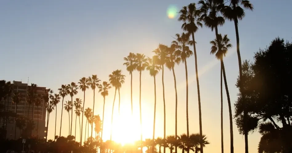Discover San Diego: The Complete Guide to Attractions, Dining & Coastal Adventures
