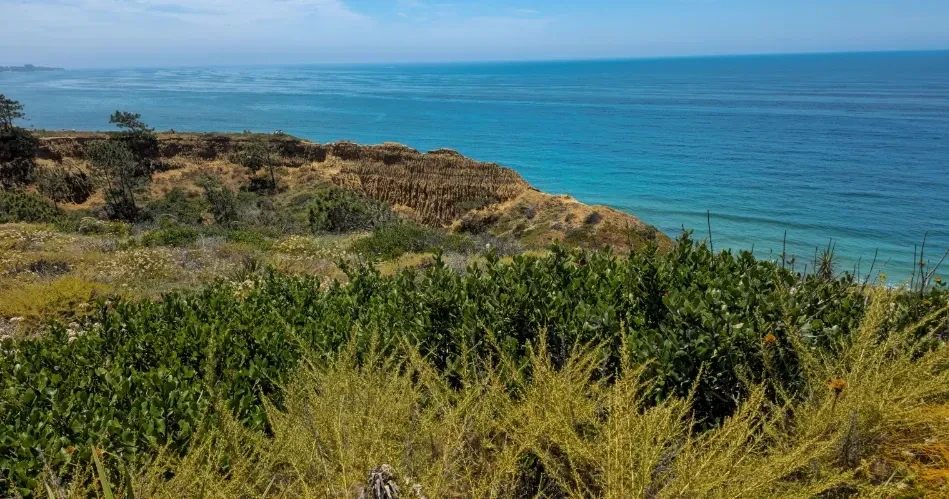 Ultimate Guide to San Diego: Must-See Attractions, Beaches & Secret Spots