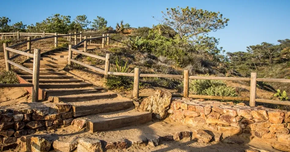 Best Family Activities in San Diego: Zoos, Parks & Kid-Friendly Attractions